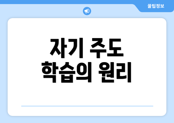 자기 주도 학습의 원리