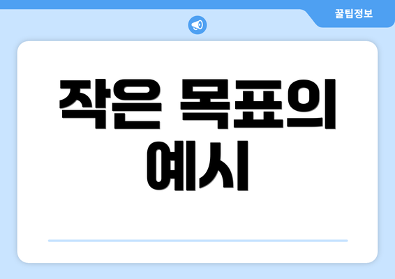 작은 목표의 예시