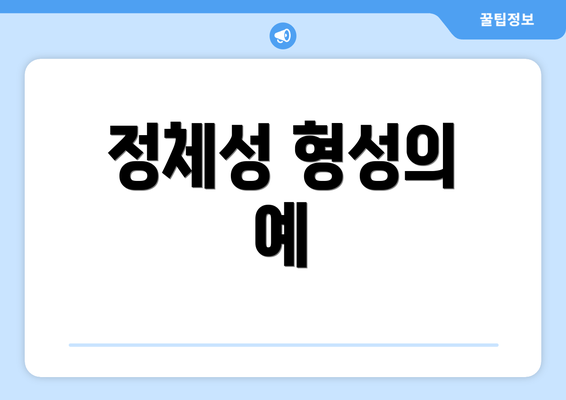 정체성 형성의 예