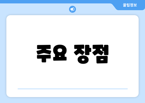 주요 장점