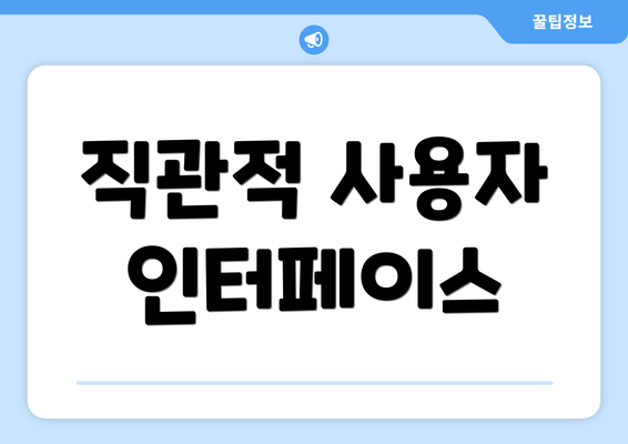 직관적 사용자 인터페이스