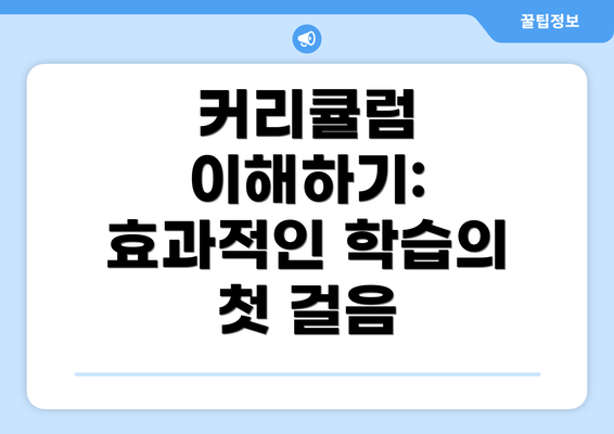 커리큘럼 이해하기: 효과적인 학습의 첫 걸음