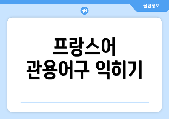 프랑스어 관용어구 익히기