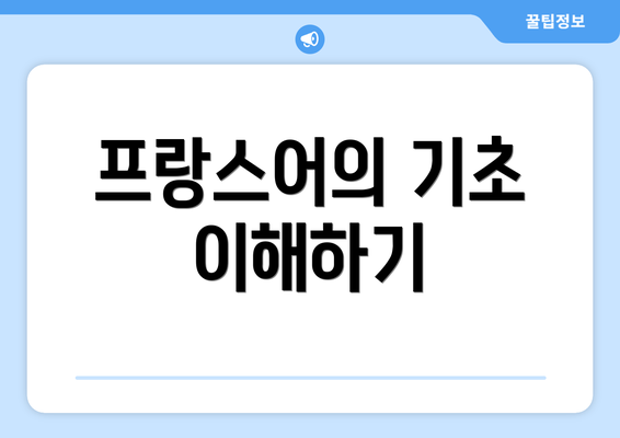 프랑스어의 기초 이해하기