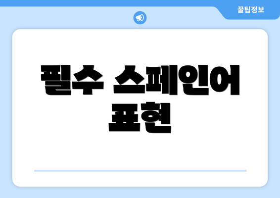 필수 스페인어 표현