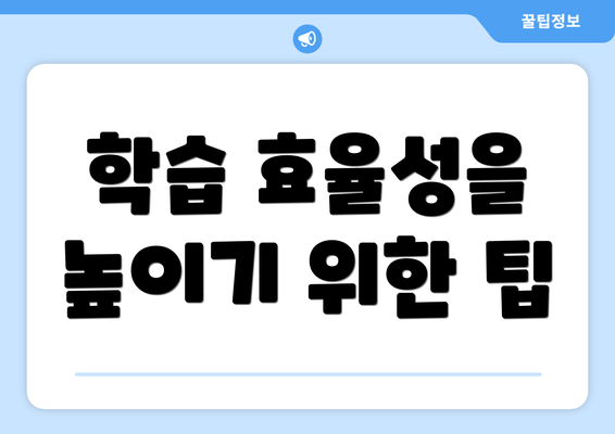 학습 효율성을 높이기 위한 팁