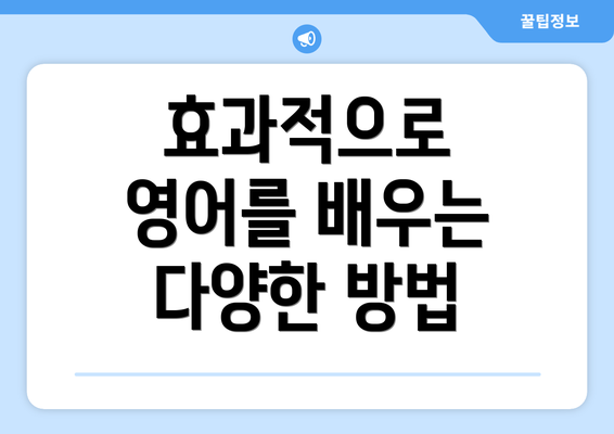 효과적으로 영어를 배우는 다양한 방법