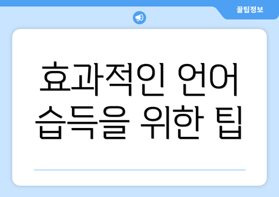 효과적인 언어 습득을 위한 팁