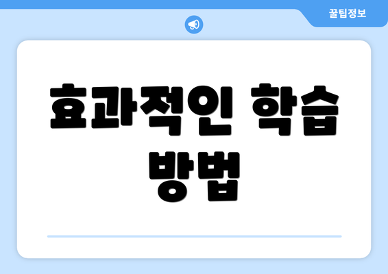 효과적인 학습 방법