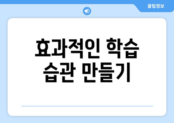 효과적인 학습 습관 만들기