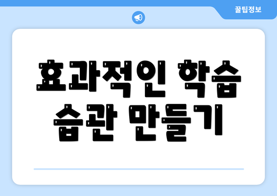 효과적인 학습 습관 만들기