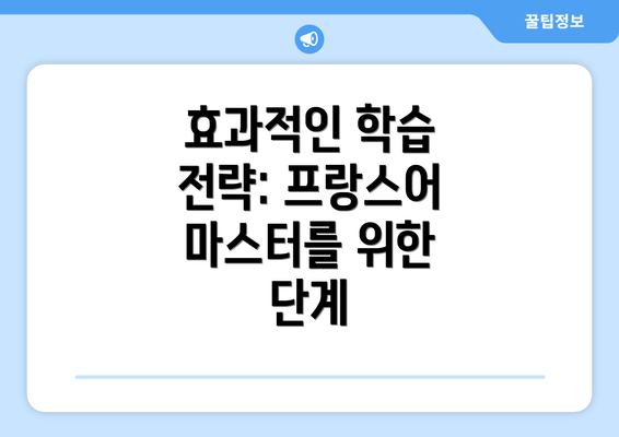 효과적인 학습 전략: 프랑스어 마스터를 위한 단계