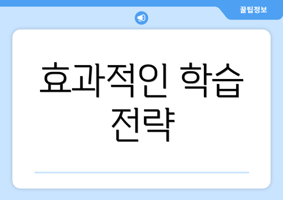효과적인 학습 전략