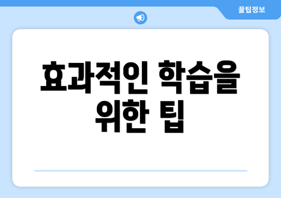 효과적인 학습을 위한 팁