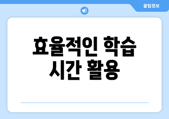 효율적인 학습 시간 활용