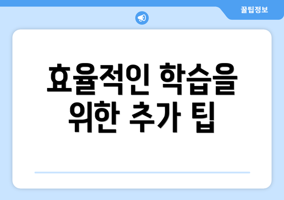 효율적인 학습을 위한 추가 팁
