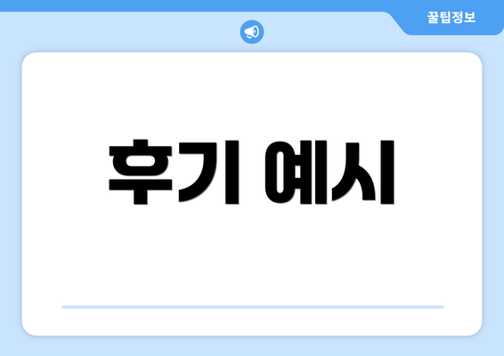 후기 예시