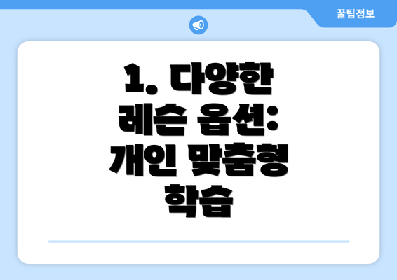 1. 다양한 레슨 옵션: 개인 맞춤형 학습