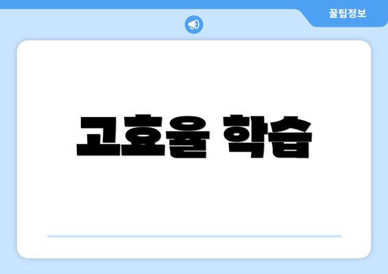 고효율 학습