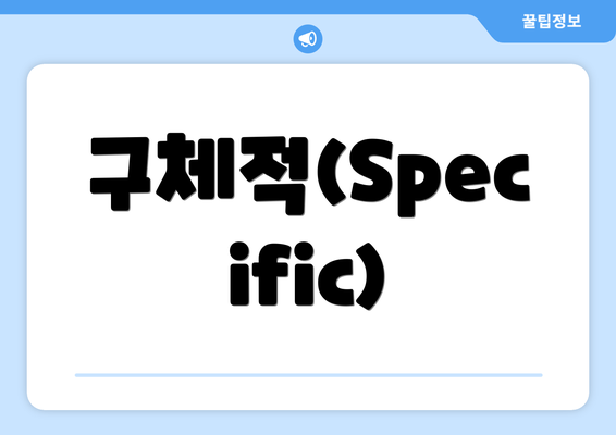 구체적(Specific)