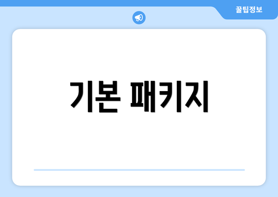 기본 패키지