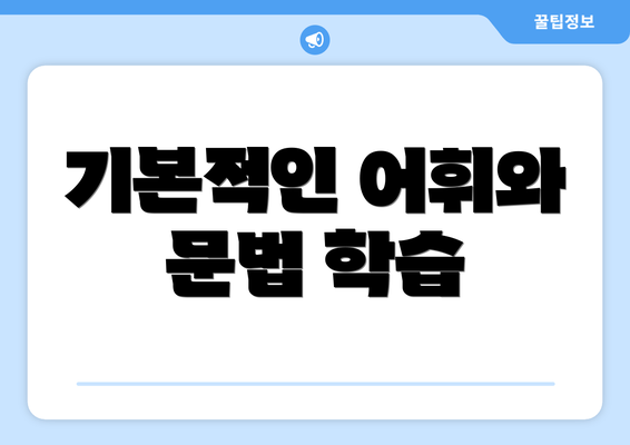 기본적인 어휘와 문법 학습