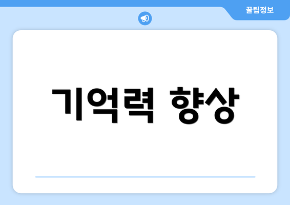 기억력 향상