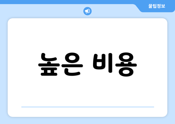 높은 비용