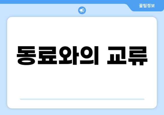 동료와의 교류