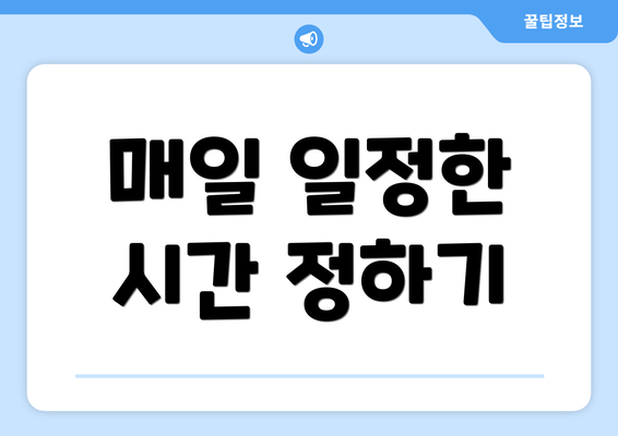 매일 일정한 시간 정하기