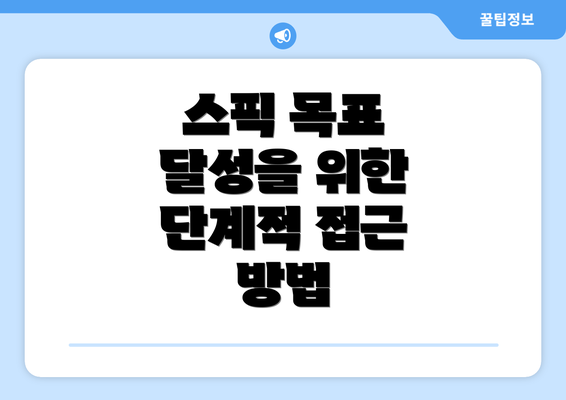 스픽 목표 달성을 위한 단계적 접근 방법