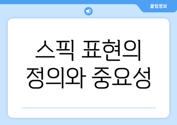 스픽 표현의 정의와 중요성