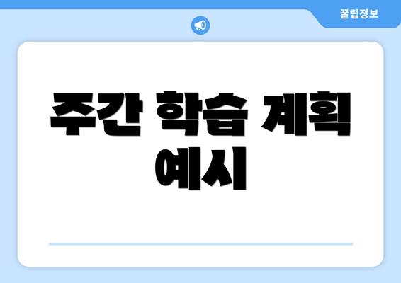 주간 학습 계획 예시