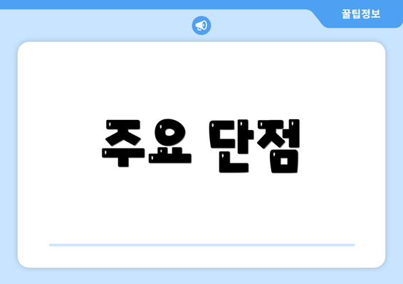 주요 단점