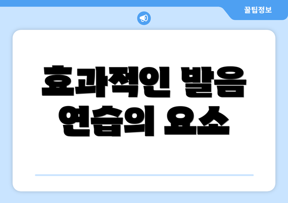효과적인 발음 연습의 요소