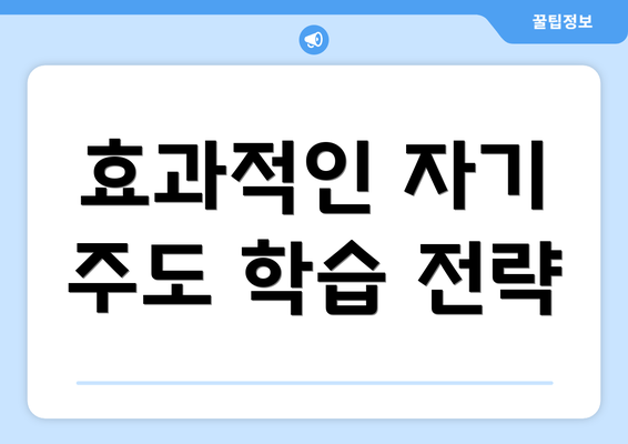 효과적인 자기 주도 학습 전략