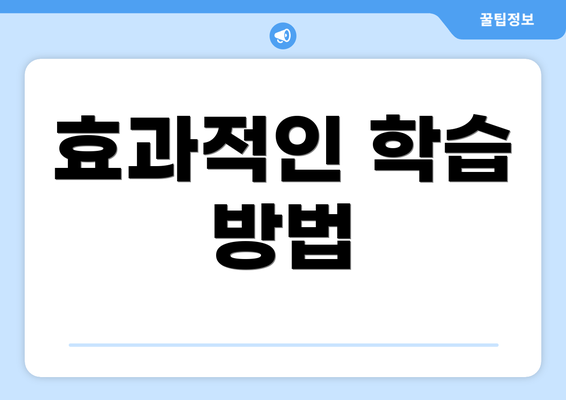 효과적인 학습 방법