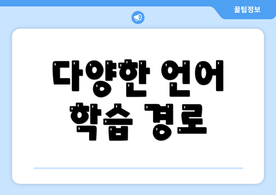 다양한 언어 학습 경로