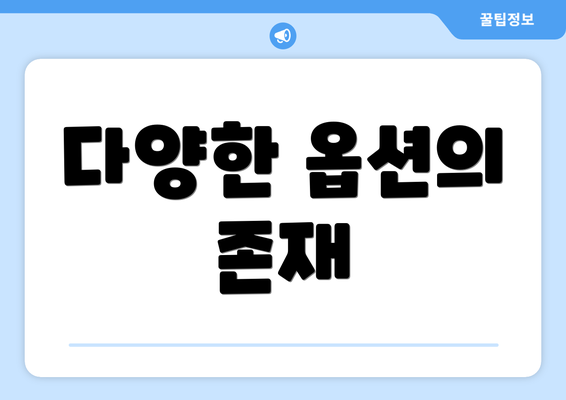 다양한 옵션의 존재