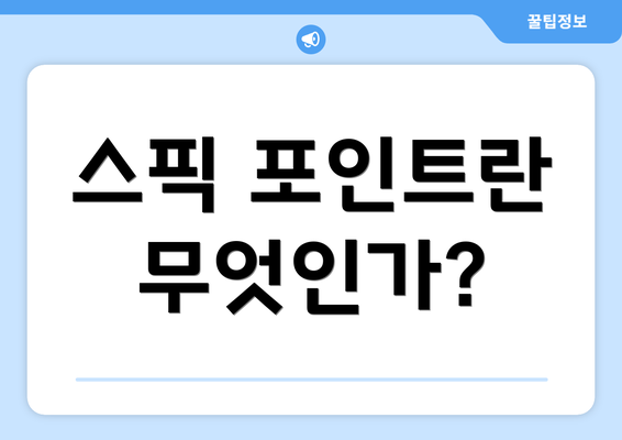스픽 포인트란 무엇인가?