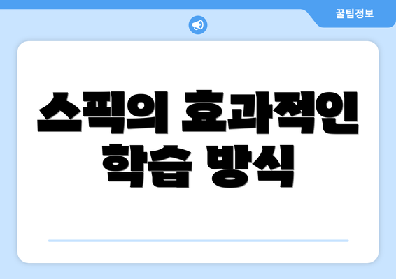스픽의 효과적인 학습 방식