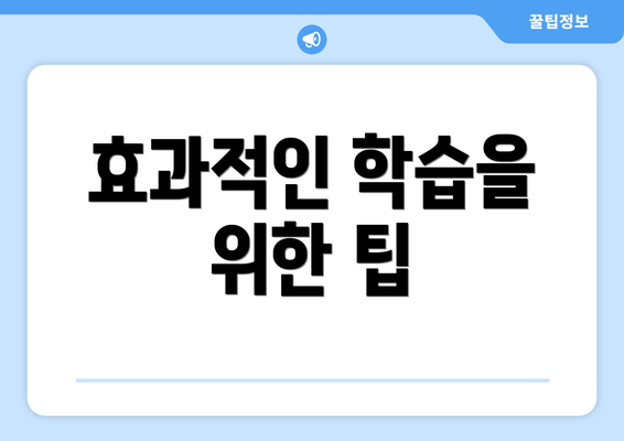 효과적인 학습을 위한 팁