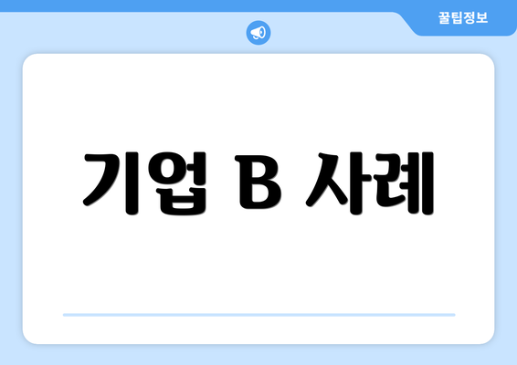 기업 B 사례
