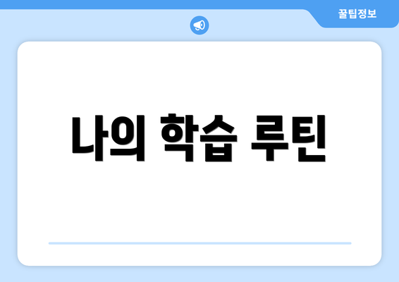 나의 학습 루틴