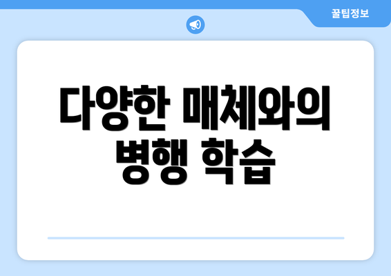 다양한 매체와의 병행 학습