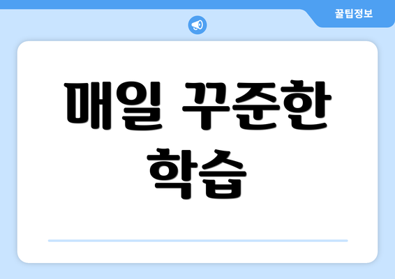 매일 꾸준한 학습