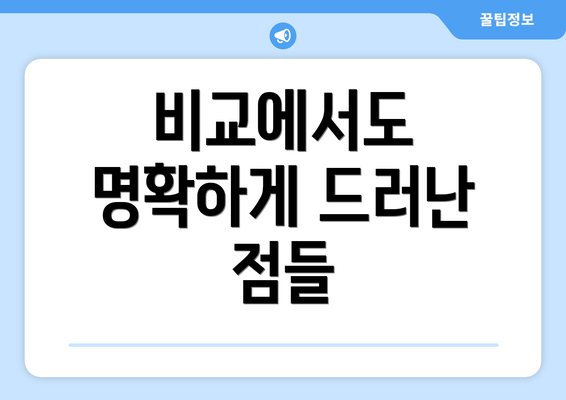 비교에서도 명확하게 드러난 점들