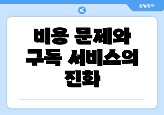비용 문제와 구독 서비스의 진화
