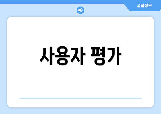 사용자 평가