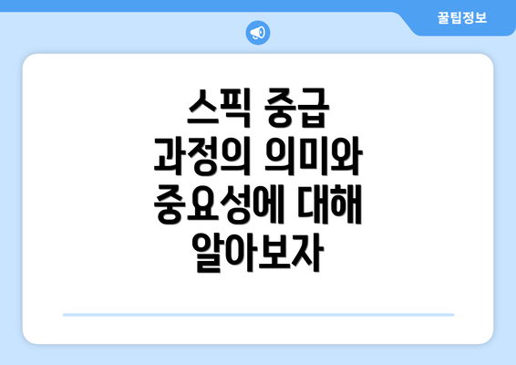 스픽 중급 과정의 의미와 중요성에 대해 알아보자